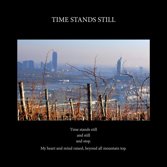 Time stands still cover