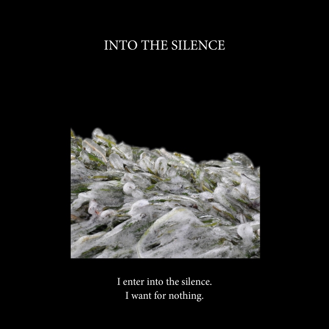 Into the silence-cover