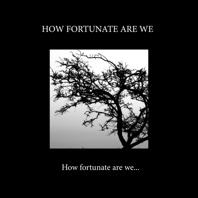 How fortunate-cover