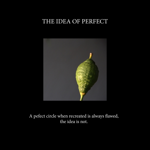 The idea of perfect